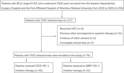 Effects of Stereotactic Body Radiation Therapy Plus PD-1 Inhibitors for Patients With Transarterial Chemoembolization Refractory